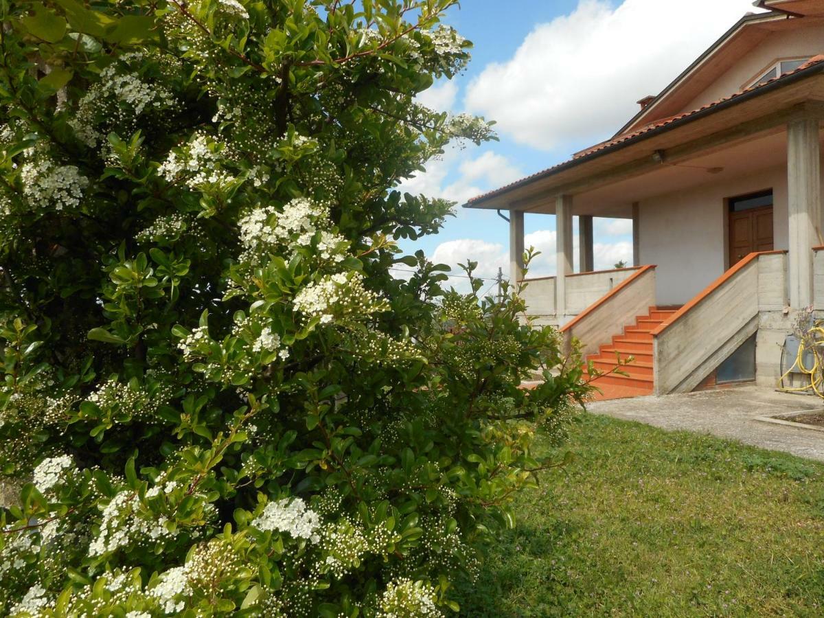 Poggio Fiorito Appartement Castiglion Fiorentino Buitenkant foto