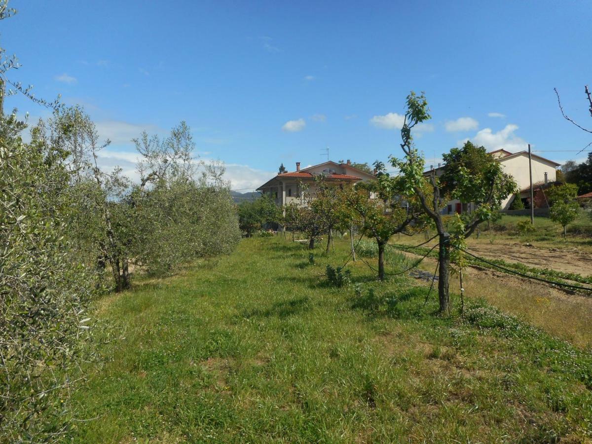 Poggio Fiorito Appartement Castiglion Fiorentino Buitenkant foto